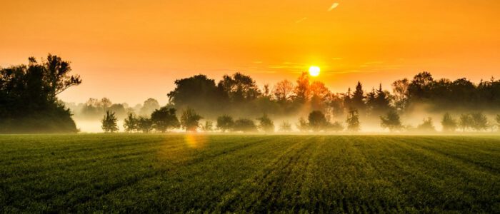 morgenstimmung